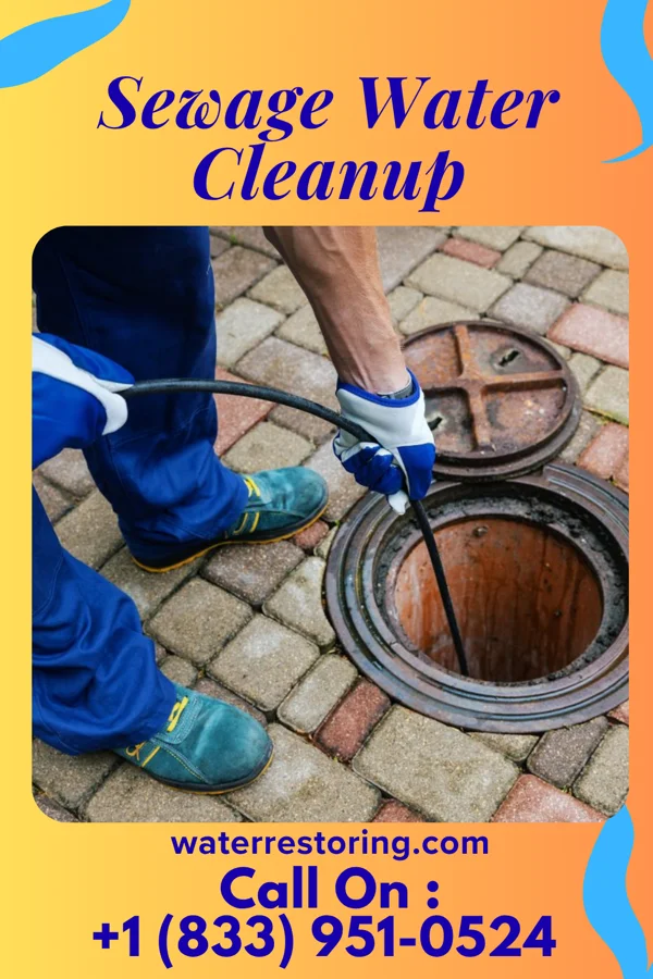 Sewage Water Cleanup in Ferrelview, MO